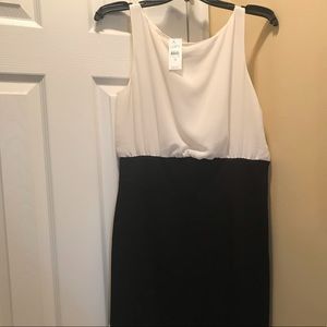 White and black sleeveless dress- LOFT- NWT